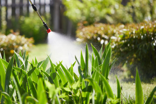 Tamper-Resistant Bait Stations for Rodents in Potterville