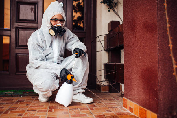 Attic and Crawl Space Rodent Treatment in Potterville